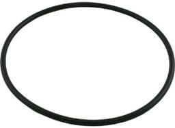 Face Plate O-Ring thumbnail 1
